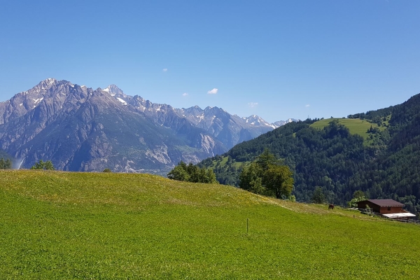 Bärenpfad (Chemin de l'ours)