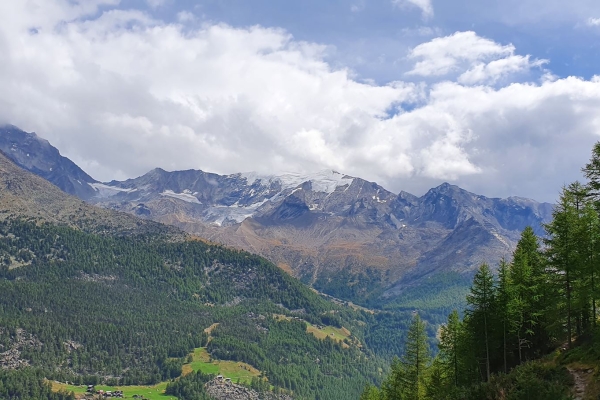 Un tour panoramique