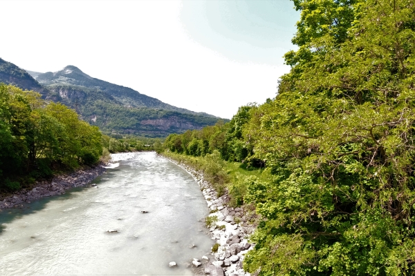 Un petit bout de campagne à portée de main.