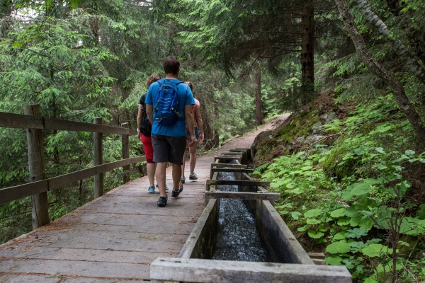 Le Chemin du Grand Bisse de Vex