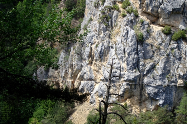 Bisse des Sarrasins et Grand Bisse de St-Jean