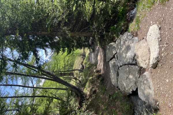 Randonnée panoramique dans le Lötschental