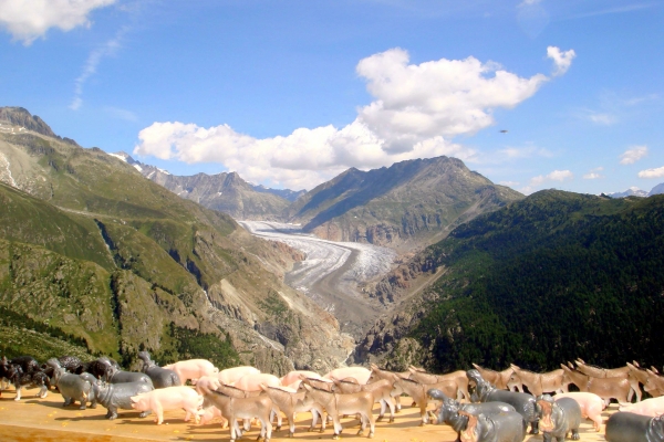 Pont suspendu «Belalp - Riederalp»