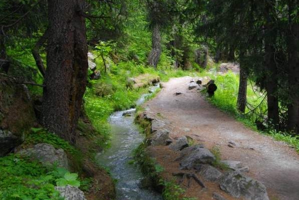 Le Bisse de Trient, bisse du glacier