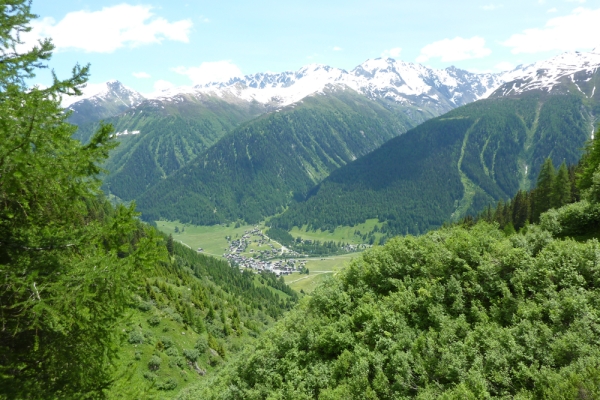 Le chemin d'altitude de Conches (Gommer Höhenweg)