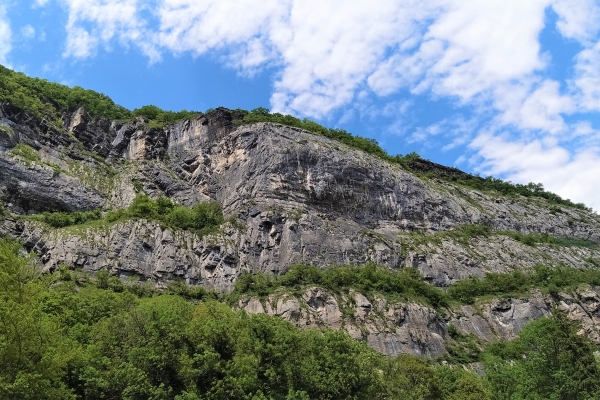 Un petit bout de campagne à portée de main.