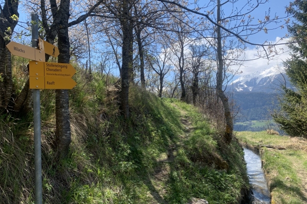 Le réveil du printemps sur le versant sud