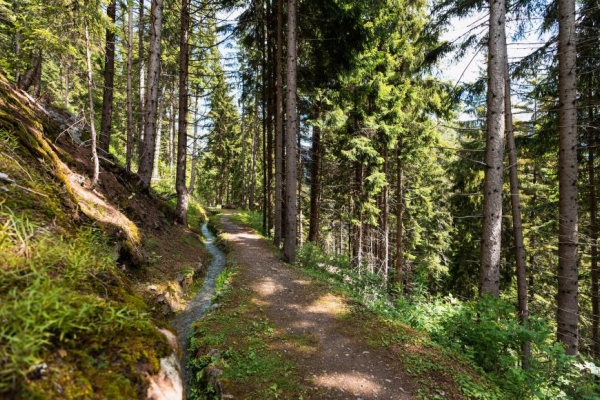 Bisse des ravines