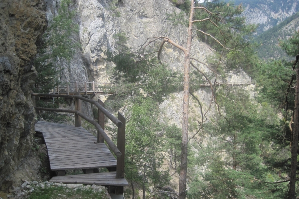 Le Chemin du Bisse des Sarrasins