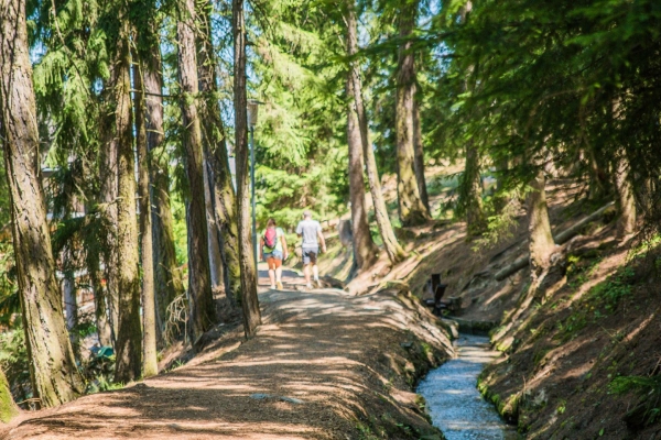 Le Chemin du Grand Bisse de Vex