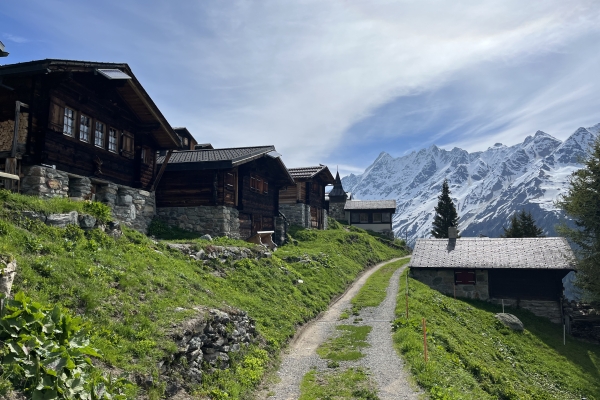 Panoramawanderung im Lötschental