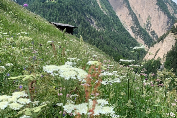 Binntal : Das erhaltene Kleinod