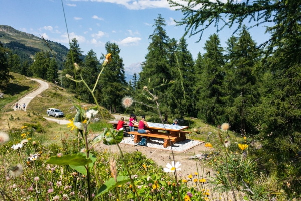 Zum Cleuson See über die Suone von Chervé