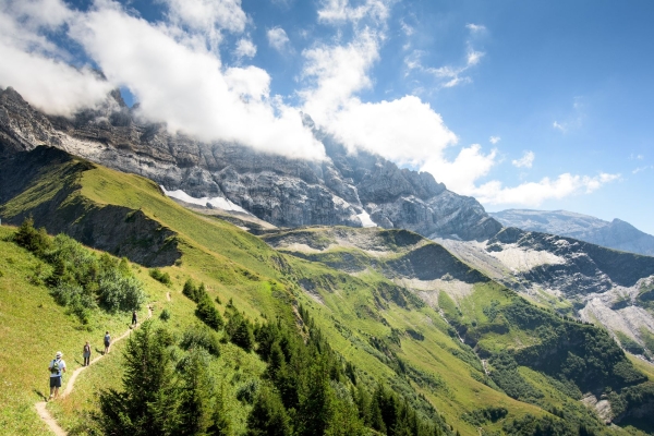 Dents du Midi