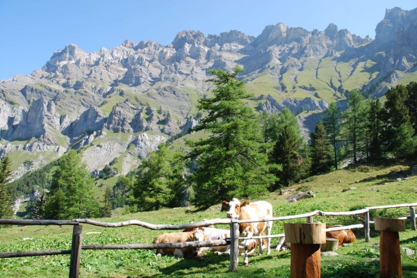 Tour des Deux Rives