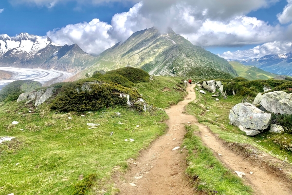 Au plus proche du glacier d'Aletsch