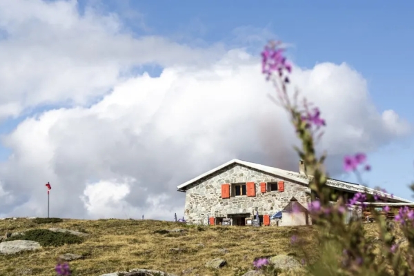 Via Bella Tola