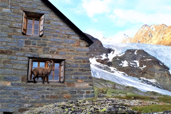 Bordierhütte SAC