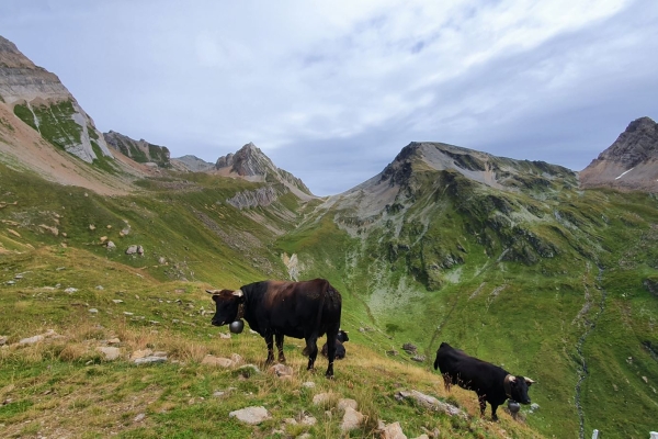 Le parcours panoramique pour les connaisseurs