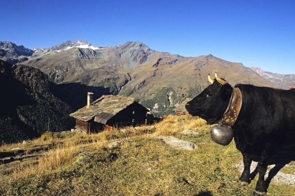 Tour du Val d'Hérens