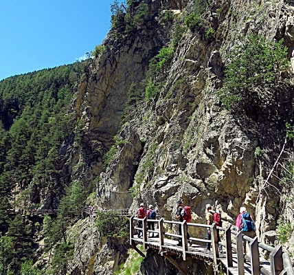 Le Chemin du Bisse des Sarrasins