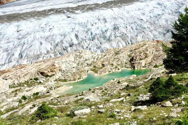 Dem Aletschgletscher so nah