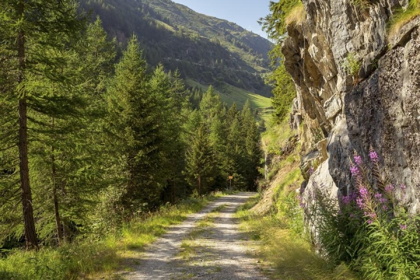 Via Francigena – à travers les Alpes jusqu’à Rome