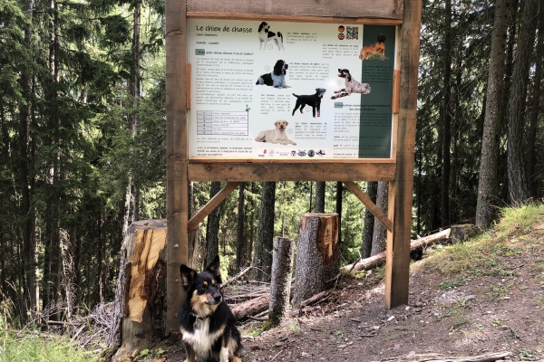 Sentier de la chasse