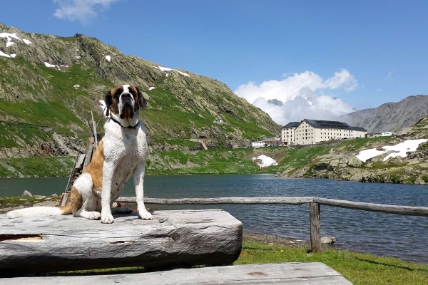 Tour du Saint-Bernard