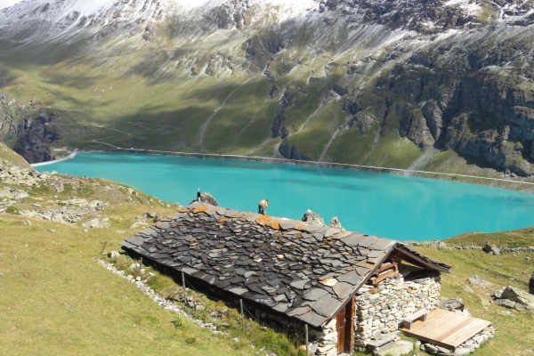 R53: Bendolla - Lona - Basset de Lona - Alpage de Torrent - Lac de Moiry