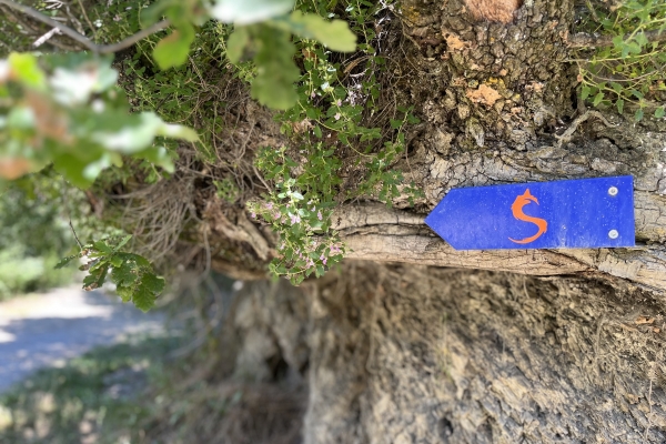 Chamoson, terre de lutte pour et contre l’Eau