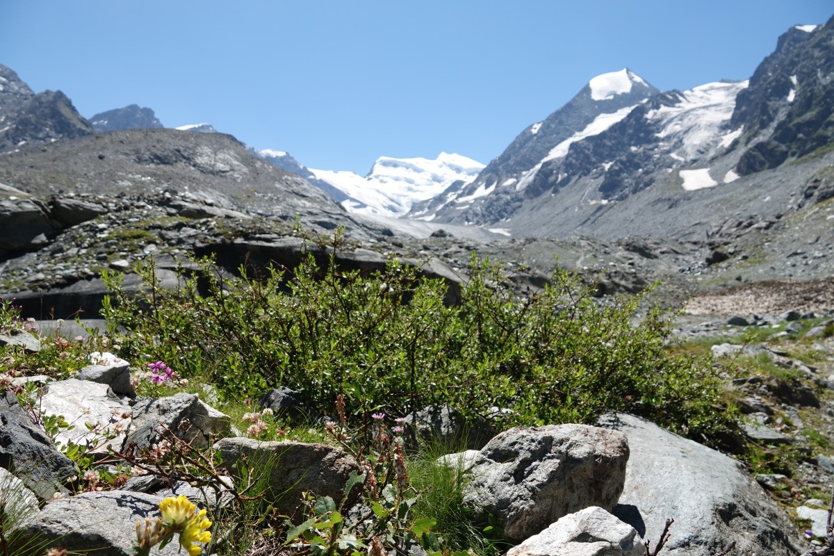 Panorama des Combins depuis la moraine du glacier, Copyright Verbier Tourisme