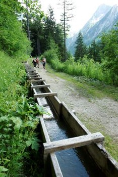 tronçon restauré de bisse en mélèze