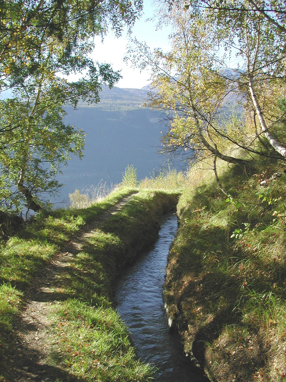 Niwärch oberhalb Ausserberg