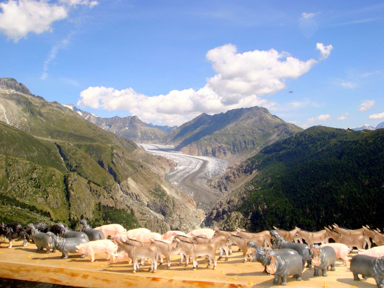 Vue depuis l'Hotel Belalp