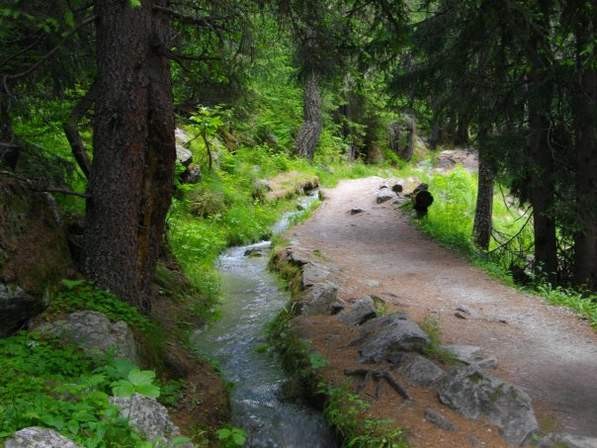 deuxième partie du bisse, ombragée