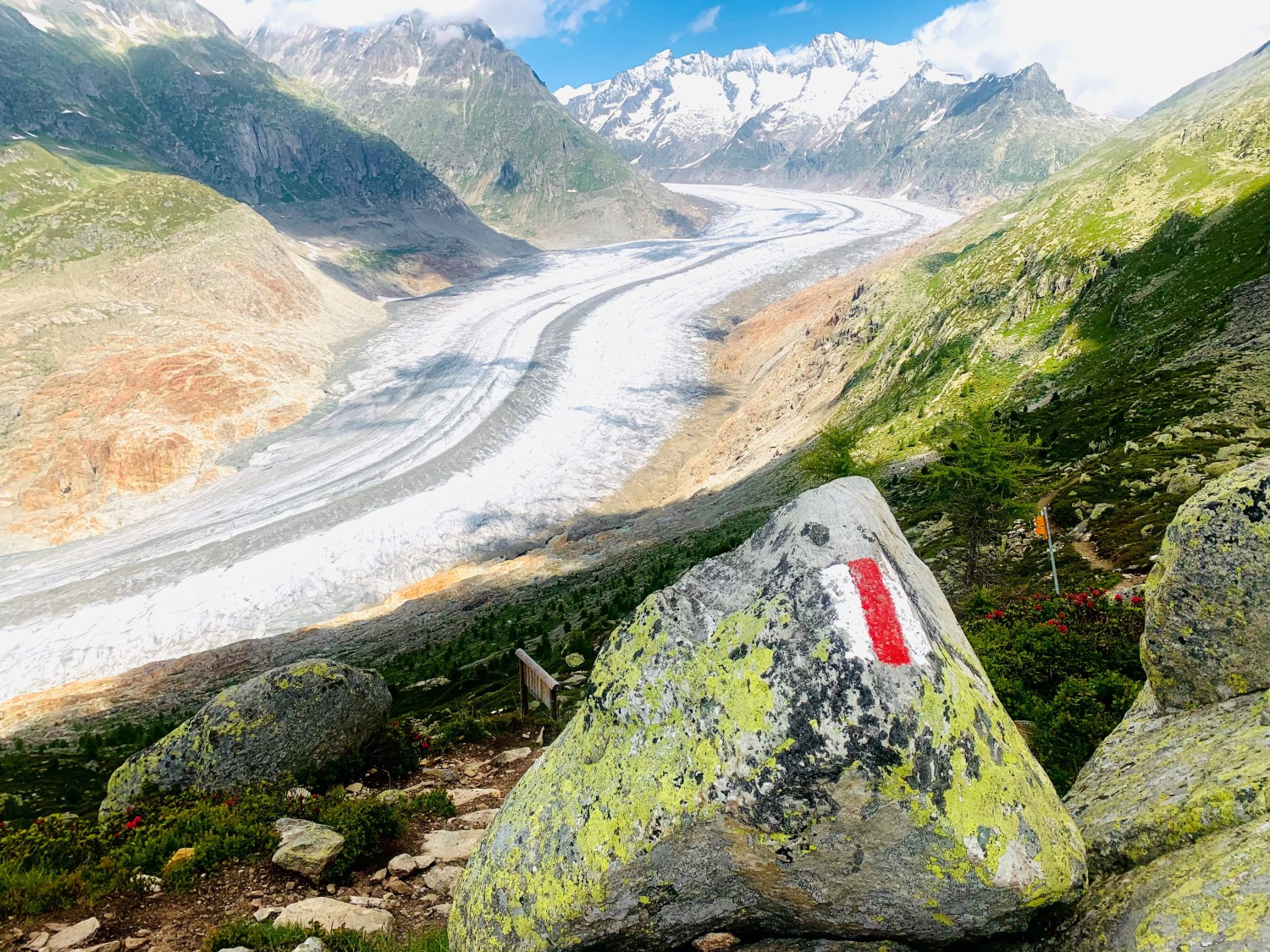 Vue panoramique sur le glacier 