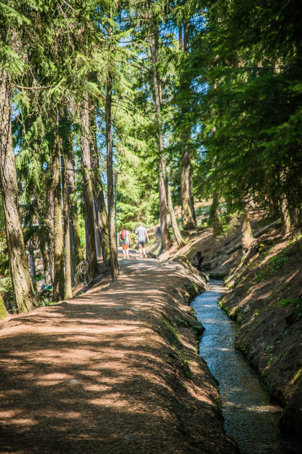 Grand Bisse de Vex - © Florian Bouvet-Fournier